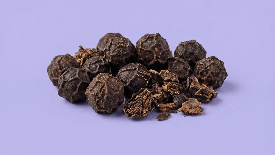 BLACK PEPPER EXTRACT